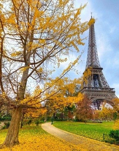 Mùa thu, Paris và em